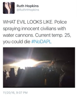 ndndoll:    400 DAPL protesters ‘trapped on bridge’ as police fire tear gas, water cannon (VIDEO)     Officers have deployed water cannon on the protesters in below-freezing temperatures, and are using LRAD sound devices. Earlier, there were reports