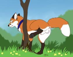 Furry-Pee:   You Caught Me!   By Seekingrelease There’s Just Something I Love About