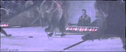 4gifs:  Meanwhile in Russia, a bear playing ice hockey receives a penalty for unsportsmanlike conduct. 