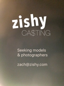 Recruiters also welcome. Earn some Summer $$ and help grow Zishy.com