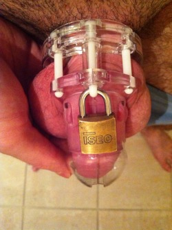 chastityskaterboy:  lilnubboy:  Iseo makes your cock look small! LOL!  It has to stay small and safe ;-) 
