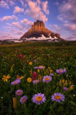 woodendreams:  Logan Pass, Glacier National Park, Montana, US (by Candace Bartlett / 500px) 