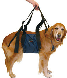 d0gbl0g:  tokyoghettopuppy:  [over the shoulder dog sling]  over the shoulder golden holder 