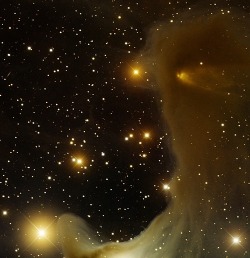 thedemon-hauntedworld:  Ghost Nebula, vdB 141 This image was obtained with the wide-field view of the Mosaic Camera on the Mayall 4-meter telescope at Kitt Peak National Observatory. vdB 141 is a reflection nebula located in the constellation Cepheus.