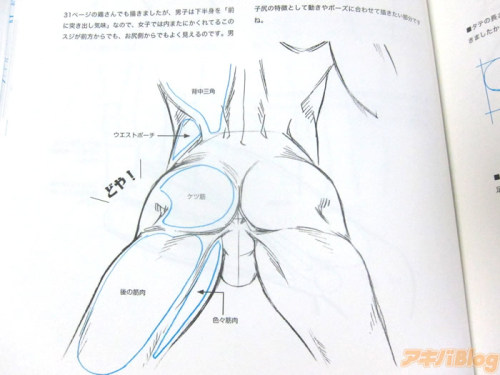 Porn sodapopsmiles:mokkorishibal:男のお尻の描き方http://blog.livedoor.jp/geek/archives/51420992.htmlwith photos