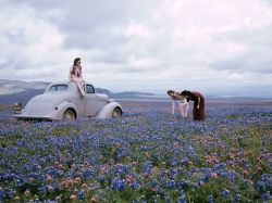  In this picture from the early 1940s, travelers in California’s San Joaquin Valley gather owl’s clover and blue lupine in a field along Route 99. 