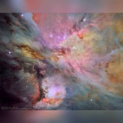 Dust, Gas, and Stars in the Orion Nebula #nasa #apod #esa #hla #hubble #hubblespacetelescope #orion #nebula #orionnebula #m42 #gas #dust #stars #star #constellation #starcluster #trapezium #stellarnursery #hydrogen #proplyds #interstellar #intergalactic