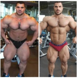 Hassan Mostafa - Do you prefer him bulking or cutting?