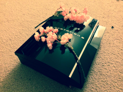 slugbox:  Bought one month after launch, our PS3 died suddenly today of massive internal failure, during an episode of Pokemon XY. Because it has survived so so long, we don’t feel empty. We were so fortunate it lasted so long. It’s statistically