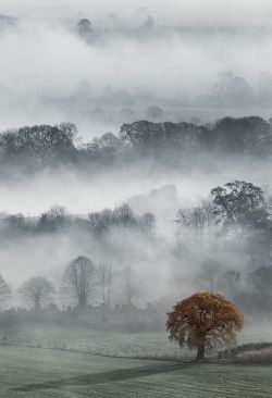 seasonsofwinterberry:Autumn ~ Vale of Pewsey, Wiltshire