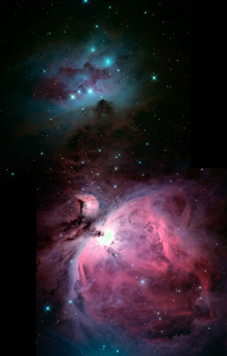 drxgonfly:  m42_ngc1977_mosaic_final (by