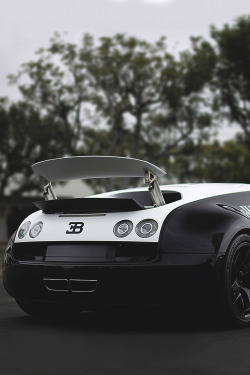 johnny-escobar:  Bugatti Veyron SS Pur Blanc 