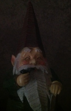 My gnome knows whats up!