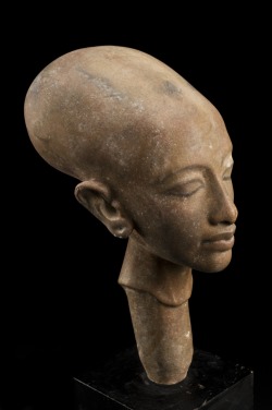 Akhenaton (Amenhotep IV) was an Egyptian pharaoh who ruled from 1367 BCE to 1350 BCE. This statue shows one of his daughters with an elongated skull. It is thought that both the pharaoh and his daughters had this condition. Henry Wellcome did his utmost