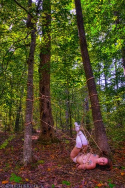bondage-erotique:  A white tail fox, captured in the Atlanta woods. October 2014. rope by Kanso. image by CapturedErotica