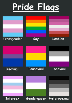 moc-tod-ffuts-modnar:  trans-wife:  And every one of them deserves equal respect. Feel free to share and reblog this. No credit needed. ^_^  The heterosexual flag is so boring. :c  Being heterosexual is boring.. I tried it once