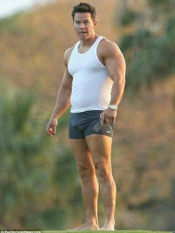 hotmenofhollywood:   Sexy DILF Mark Wahlberg shows what he is packing in a very flattering pair of underwear. For more of the sexiest men in film and television: www.hotmenofhollywood.tumblr.com   Mmm love Mark Wahlburg&hellip;fucking sexy man!! =D