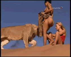 worldsbaddest:  asskrazy:  thenudearts:  forever reblog the lioness booty gif  I don’t know what the hell is going on here, but there is a phat ass and a lion.   FOREVER REBLOG. 