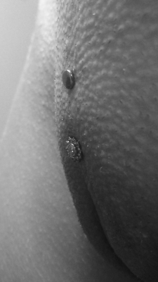 pussymodsgaloreAn interesting one. Unsuitable for a Christina piercing, the piercer has opted to do a surface piercing in her pubic mound. He explains: &ldquo;A fresh pubic mound surface piercing (for a client who lacked anatomy to accommodate a more