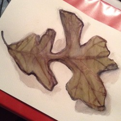 My 30 minute water color #watercolor #art #leaf #paint #fall #autumn #30minutewatercolor