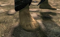 gaygothur: Reminder that the foot models in Skyrim are literally just shoes with a foot texture slapped over it