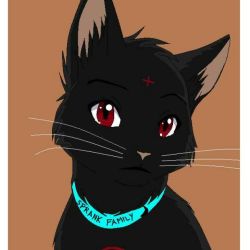 anonima-feliz-2013: Yup. I’m the cat of the Sprank Family ( @onebizarrekai and@rubibruh )  So.  I wanted to do a correct avatar.  I know it isn’t awsome but …welp…i don’t know what to say so bye! Miau!  Awwww you look so cute &lt;3I like the