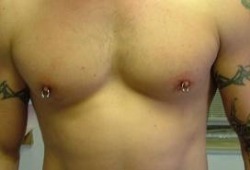 apadravya-piercing:  They look like pretty freshly-done nipple piercings! A pair of male nipple piercings with circular barbells.