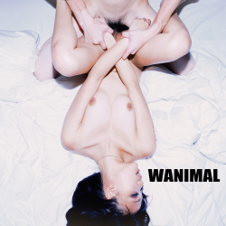 wanimal1983:  LOVE 