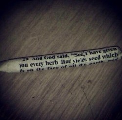 420 in a bible verse