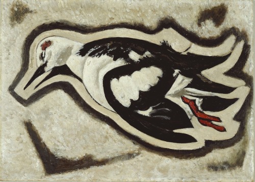 aic-american:  Portrait of a Sea Dove—Dead, Marsden Hartley, 1935, Art Institute of Chicago: American ArtAlfred Stieglitz CollectionSize: 24.8 × 35 cm (9 ¾ × 13 ¾ in.)Medium: Oil on composition boardhttps://www.artic.edu/artworks/65945/