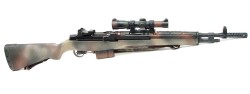 fmj556x45:  Springfield M1A .308 WIN caliber rifle with 18&quot; barrel, Scout scope and one 10 round magazine.