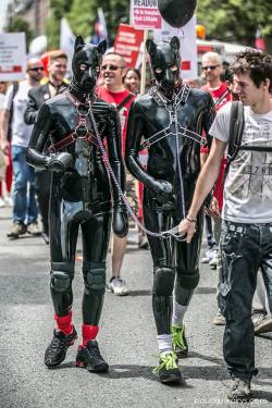 Everyone loves a parade!  plainfilth:  tylerrubberpup:  Me and pup cosmo at London Pride 2013Awesome fun. Tonnes more SHOULD show up at some point……  http://plainfilth.tumblr.com 