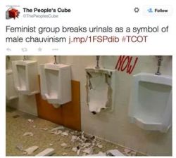 anti-feminism-pro-equality:  destruction of property for a political goal? sounds like terrorism 
