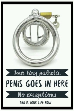 jc7210:  jennifurzoe:   tonitheblonde:  “Mistress Toni demands that all males must submit to wearing a chastity device! No exceptions!“   Agreedbut wouldn’t a pierced chastity be more efficient BEAUTIFUL MISTRESS of SUPERIOR GENDER?   Mine does