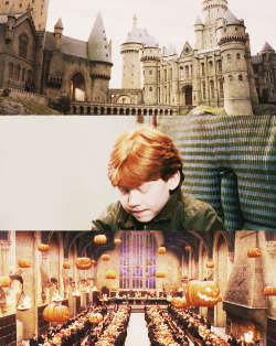 hp-picspam:  It does not do to dwell on dreams, Harry, and forget to live. 