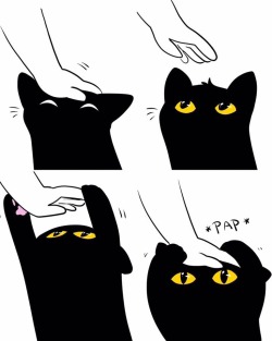 owners-lil-kitten:  When you want owner’s attention.