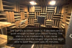 batlesbo:  arte-mysia:  daewrythe:  depthz:  How uncomfortably humans deal with silence.  I smell a fucking challenge  Wait- does this mean that silence has already fallen?  I seriously would love trying it out. I’m not saying I’ll last longer, I