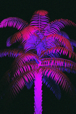palmtreezy:  $