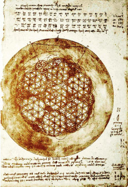 discoveringdavinci:  Leonardo’s “Flower of Life” – c. 1478-1519. Codex Atlanticus Fol 307v  A “flower of life” is a geometrical figure that is made by creating 7 or more superimposed and evenly-spaced circles. The center of each circle is