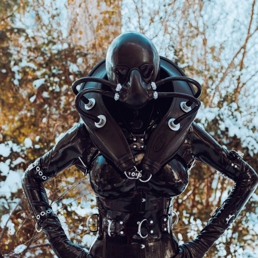 latexmaid-lock69:  sealthemouth:  the-english-bounder:  I’m no expert. But this is kinda perfect    Under control! Beautiful    😍😍😍