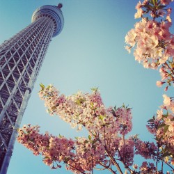 instagram:  Tokyo Skytree Turns One  See