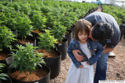 weedporndaily:  Groundbreaking Research Suggests Medical Marijuana Could Reduce Seizures In Children(HuffPost) The drug, Epidiolex, is derived from cannabidiol, or CBD, a non-psychoactive compound in the cannabis plant that doesn’t produce the “high”