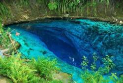 inpastelribbons:  donovanthewizard: sixpenceee:   This river is known as the Enchanted River in the Philippines and was only discovered recent years. None knows where the water comes from. This remains a mystery. The river has crystal-clear waters, such