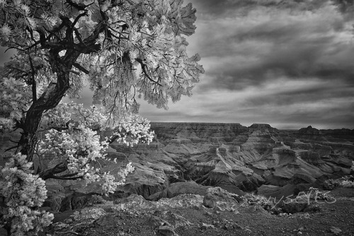 Sex Yaki Point Sunrise on Flickr. BW Infrared-jerrysEYES pictures