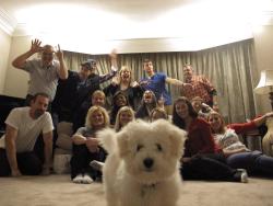 afrofilipino:awwww-cute:  Family Christmas picture photobomb  those assholes ruined this dogs selfie