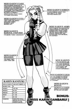 atomictiki:Miss Karin Kanzuki