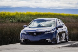 kchow510:  Sick ass 4th Gen TL on BC Forged
