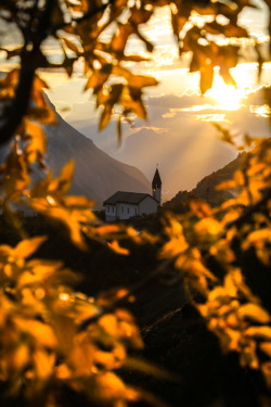 drxgonfly:  Herbstgold (by Marco Schnyder)