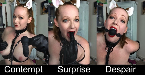 isodomesticslut:  Pictures © kittydeniedAt first she was disappointed about the small size of the gag. Then surprised when Master told her to put the dildo inside her mouth instead of outside!Finally it turned out to be lockable, making her drool constant