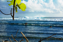 highenoughtoseethesea:  Surf Everywhere: Indian Ocean, Comoros, TongaPhotos: Michael Kew